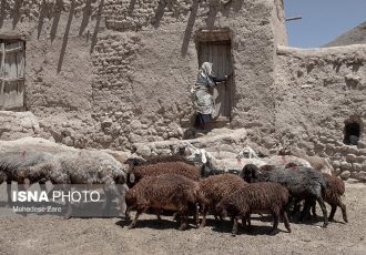 زخمِ کاری خشکسالی بر جان کلاته عرب‌ها
