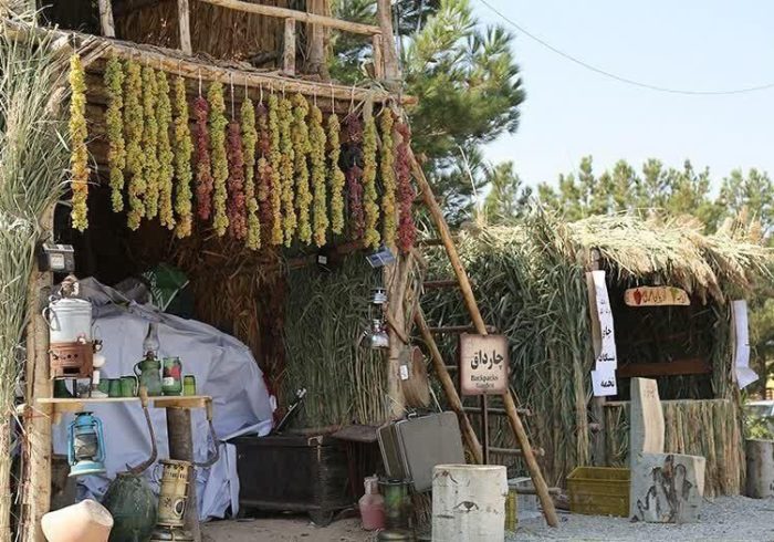 ۷۰ درصد غرفه‌های جشنواره انگور هزاوه توسط بانوان مدیریت می‌شود