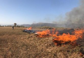 آتش به جان ۱۰ هکتار منابع طبیعی و ۶۰ نخل عنبرآباد افتاد
