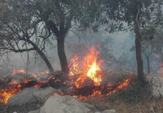 حریق در ارتفاعات روستای خواجه ای کامفیروز