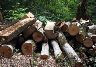 کشف و ضبط ۳۹ اصله چوب در  روستای فخرآباد شهرستان رشت