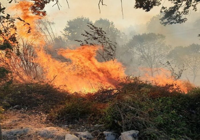 آخرین وضعیت آتش سوزی در ارتفاعات میانکوه روستای بیاره