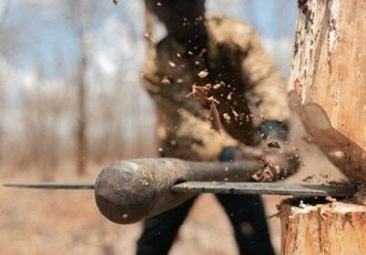 دستگیری عاملان قطع درختان «بید» در روستای باباعلی
