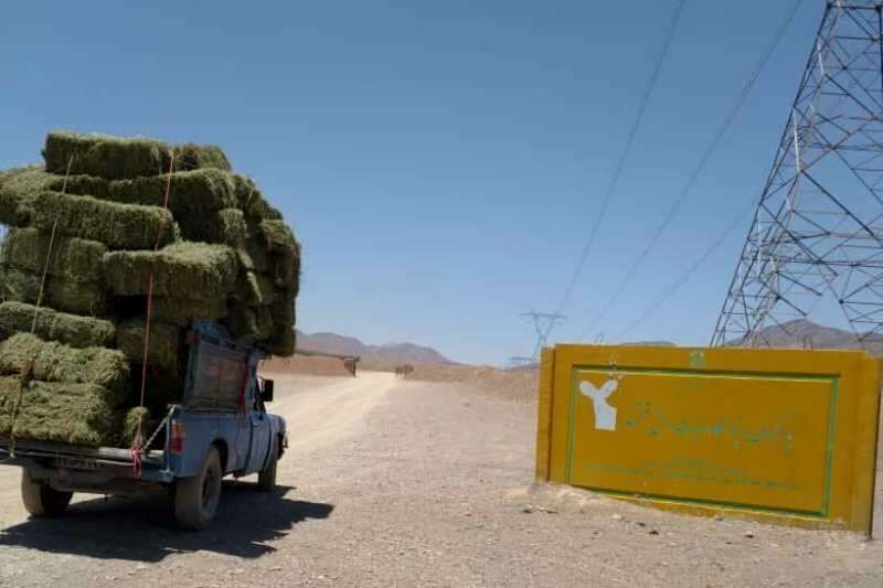 کمبود علوفه چالش جدی عشایر فارس است