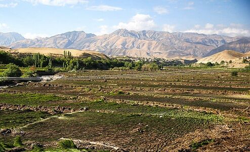 ۳۲۶ هکتار از عرصه‌های طبیعی کردستان رفع تصرف شد