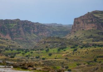 ۱۲ هزار هکتار از مراتع تنگستان در اختیار دامداران قرار گرفت