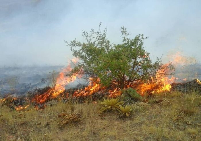 آتش سوزی در ۵ هکتار از باغات روستای یانس آباد آبیک