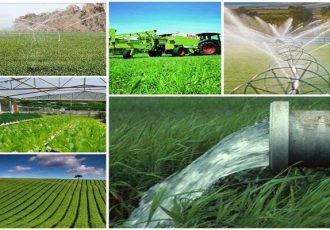 انجام مطالعات توسعه اقتصادی و اشتغالزایی ۲۴ روستای دهلران
