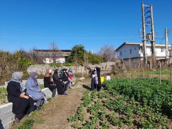 رونق باغچه‌های خانگی در روستاهای چالوس