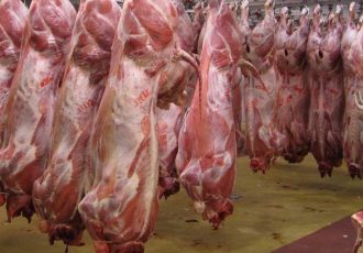 سم‌پاشی روستاهای لرستان علیه کنه ناقل بیماری تب کریمه کنگو