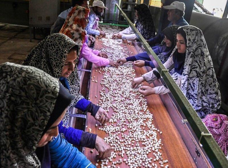 تخصیص ۵۰ میلیارد برای اشتغال، کارآفرینی و صندوق خرد روستایی
