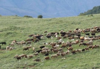 قُرق کردن مراتع سه روستای طالقان با هدف احیا