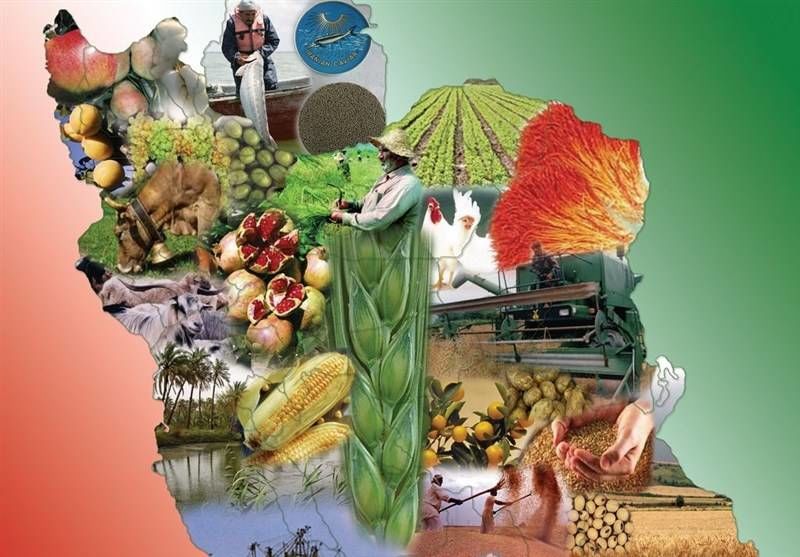 امنیت غذایی، اساس تمام حوزه‌های امنیت است