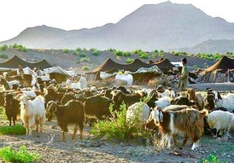 جشنواره کوچ عشایر بین‌المللی برگزار می‌شود