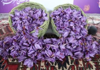 دفتر امور روستایی استانداری کرمان حامی توسعه برند ملی «زعفران راویز» شد