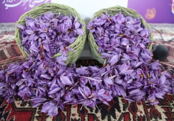 دفتر امور روستایی استانداری کرمان حامی توسعه برند ملی «زعفران راویز» شد